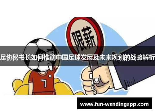 足协秘书长如何推动中国足球发展及未来规划的战略解析