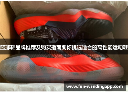 篮球鞋品牌推荐及购买指南助你挑选适合的高性能运动鞋