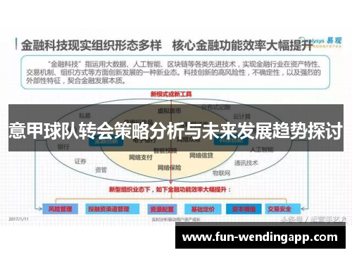 意甲球队转会策略分析与未来发展趋势探讨