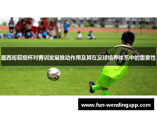 墨西哥超级杯对青训发展推动作用及其在足球培养体系中的重要性