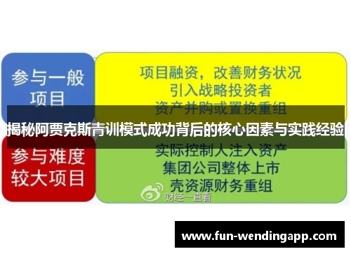 揭秘阿贾克斯青训模式成功背后的核心因素与实践经验