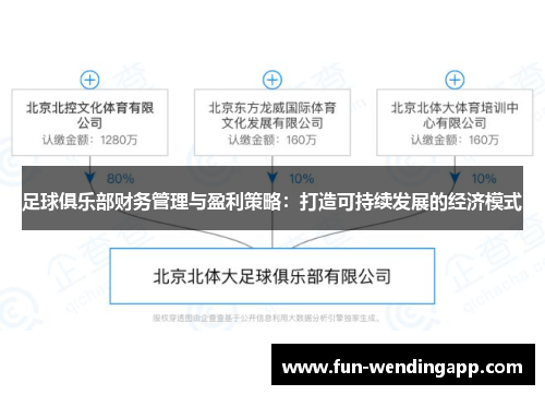 足球俱乐部财务管理与盈利策略：打造可持续发展的经济模式