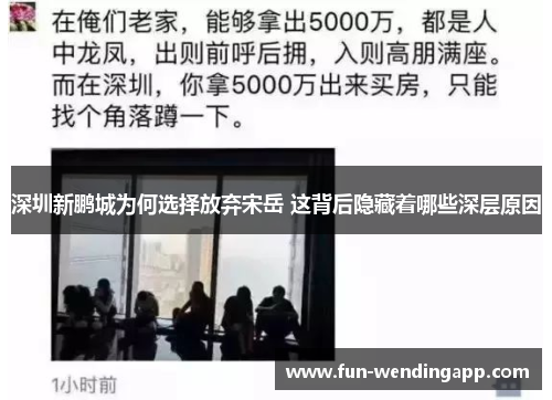 深圳新鹏城为何选择放弃宋岳 这背后隐藏着哪些深层原因