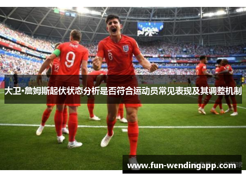 大卫·詹姆斯起伏状态分析是否符合运动员常见表现及其调整机制