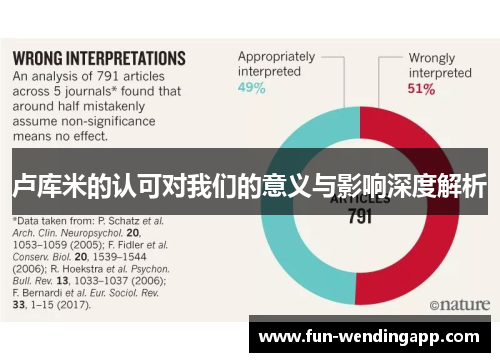 卢库米的认可对我们的意义与影响深度解析