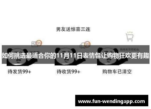 如何挑选最适合你的11月11日表情包让购物狂欢更有趣