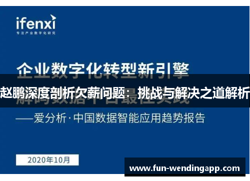 赵鹏深度剖析欠薪问题：挑战与解决之道解析