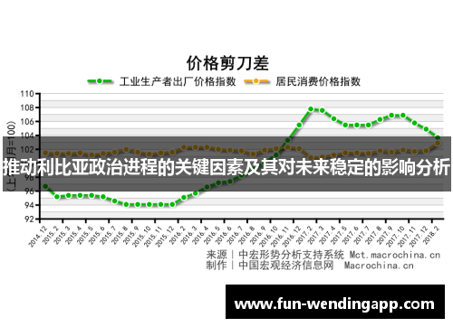 推动利比亚政治进程的关键因素及其对未来稳定的影响分析