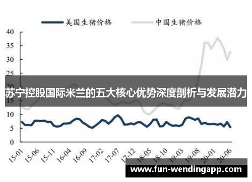 苏宁控股国际米兰的五大核心优势深度剖析与发展潜力