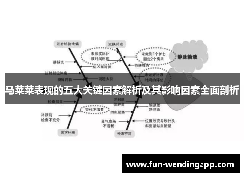 马莱莱表现的五大关键因素解析及其影响因素全面剖析