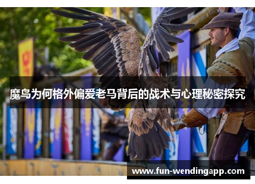 魔鸟为何格外偏爱老马背后的战术与心理秘密探究
