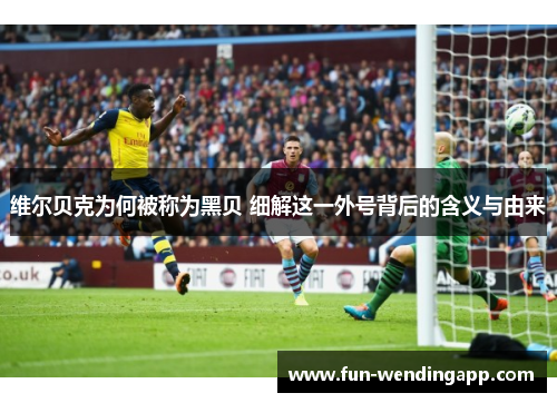 维尔贝克为何被称为黑贝 细解这一外号背后的含义与由来